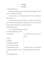 Giáo án lớp 1 năm 2011 - Tuần 33 docx