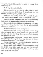 Kỹ thuật trồng các giống lạc, đậu đỗ, rau quả và cây ăn củ mới part 5 docx