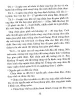 Kỹ thuật nuôi ong nội địa cho người bắt đầu nuôi ong part 2 potx
