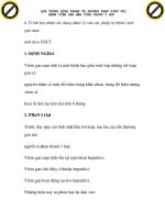 quá trình hình thành và phương pháp điều trị bệnh viêm gan mãn tính trong y học p1 docx