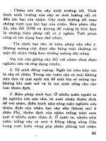 Bác sĩ cây trồng : Côn trùng và nhện hại cây trồng part pdf