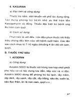 Kỹ thuật trồng quýt hồng part 7 pdf