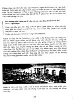 Kỹ thuật vườn ươm và vườn cây ăn quả có múi part 2 docx