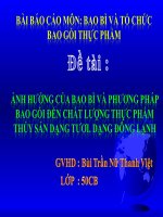 Báo cáo: Ảnh hưởng của bao bì và phương pháp bao gói đến chất lượng thực phẩm thủy sản dạng tươi, dạng đông lạnh doc