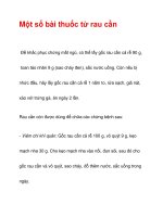 Một số bài thuốc từ rau cần pdf