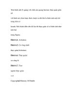 quá trình hình thành và phương pháp điều trị bệnh rối loạn vận động của thực quản p3 potx