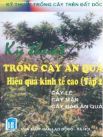 Kỹ thuật trồng cây ăn quả hiệu quả kinh tế cao tập 2 part 1 ppt