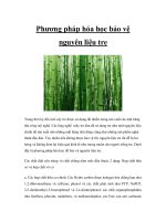 Phương pháp hóa học bảo vệ nguyên liệu tre pot