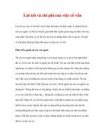 Lợi ích và chi phí của việc cố vấn doc