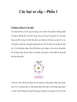 Các hạt sơ cấp – Phần 1 pot