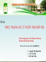 THỰC TRẠNG XỬ LÝ NƯỚC THẢI ĐÔ THỊ ppsx