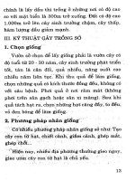 Kỹ thuật trồng cây có dầu cho giá trị kinh tế cao part 2 potx