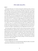 PCR và dấu vân tay DNA ppsx