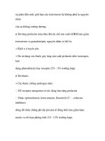 quá trình hình thành và phương pháp điều trị bệnh hội chứng suy sinh dục nam trong y học p3 ppt