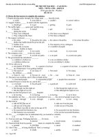 Đề thi thử đại học cao đẳng môn tiếng anh - đề số 10 pot