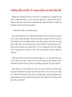 Những điều ít biết về vương triều của Mai Hắc Đế doc