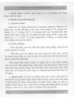 Giáo trình công nghệ chăn nuôi part 5 ppsx