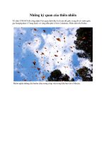 Những kỳ quan của thiên nhiên doc