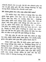 Bác sĩ cây trồng : Kỹ thuật gieo trồng và chăm sóc cây part 6 pptx