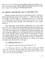 Kỹ thuật nuôi cá rô phi vằn part 6 ppt