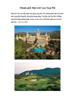 Thành phố Mặt trời’ của Nam Phi pptx