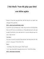 2 bài thuốc Nam đã giúp qua khỏi cơn hiểm nghèo pps