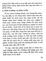 Kỹ thuật trồng cây có dầu cho giá trị kinh tế cao part 3 docx