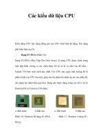 Các kiểu dữ liệu CPU pps