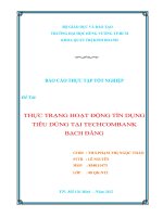 thực trạng hoạt động tín dụng tiêu dùng tại ngân hàng techcombank chi nhánh bạch đằng