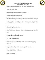 quá trình hình thành và phương pháp điều trị bệnh bại não trong y học p1 pot