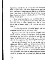 Công nghệ sinh học và ứng dụng vào phát triển nông nghiệp nông thôn part 6 ppsx