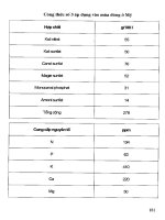 Kỹ thuật thủy canh và Sản xuất rau sạch part 10 ppt