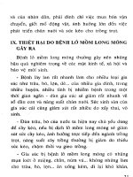 Kỹ thuật phòng chống bệnh lở mồm long móng và bệnh thân nhiệt ở gia súc part 3 potx