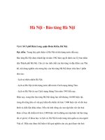 di tích lịch sử văn hóa - Hà Nội - Bảo tàng Hà Nội pot