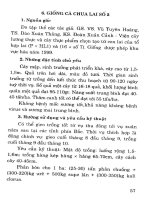 Kỹ thuật trồng các giống lạc, đậu đỗ, rau quả và cây ăn củ mới part 6 pdf