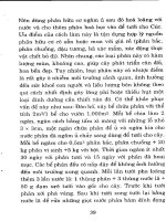 Công nghệ mới trồng hoa cho thu nhập cao - Quyển 1 part 5 potx