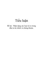 Đề tài: Nhận dạng các loại rủi ro trong đầu tư tài chính và chứng khoán pot