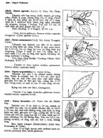 Cây cỏ Việt Nam tập 1 part 7 ppsx