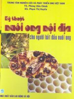 Kỹ thuật nuôi ong nội địa cho người bắt đầu nuôi ong part 1 potx