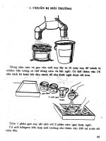 Kỹ thuật sản xuất ong mắt đỏ part 4 ppt