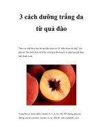 3 cách dưỡng trắng da từ quả đào pdf