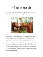 Vỗ béo bò bán Tết doc
