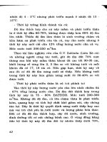 Kỹ thuật tưới cho một số cây lương thực và hoa màu part 4 pptx