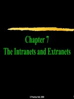 Chapter 7: The Intranets and Extranets docx