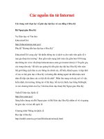 Các nguồn tin từ Internet pdf