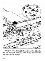 Kỹ thuật thâm canh lúa lai part 3 ppt