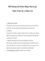 Bồi Dưỡng Sức Khỏe Bằng Năm Loại Nước Trái Cây và Rau Cải pptx