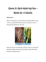 Quản lý dịch bệnh hại lúa – Bệnh do vi khuẩn ppt