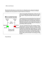 Mẫu Inverted Hammer ppsx