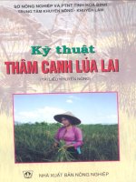 Kỹ thuật thâm canh lúa lai part 1 docx